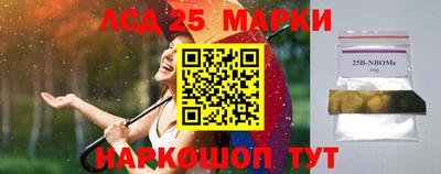 гидропоника Краснокаменск