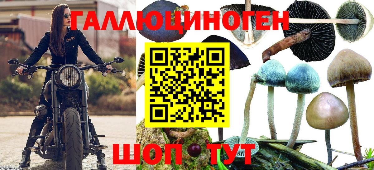 Донской  Каннабис  Вход с VPN  МЕФ  