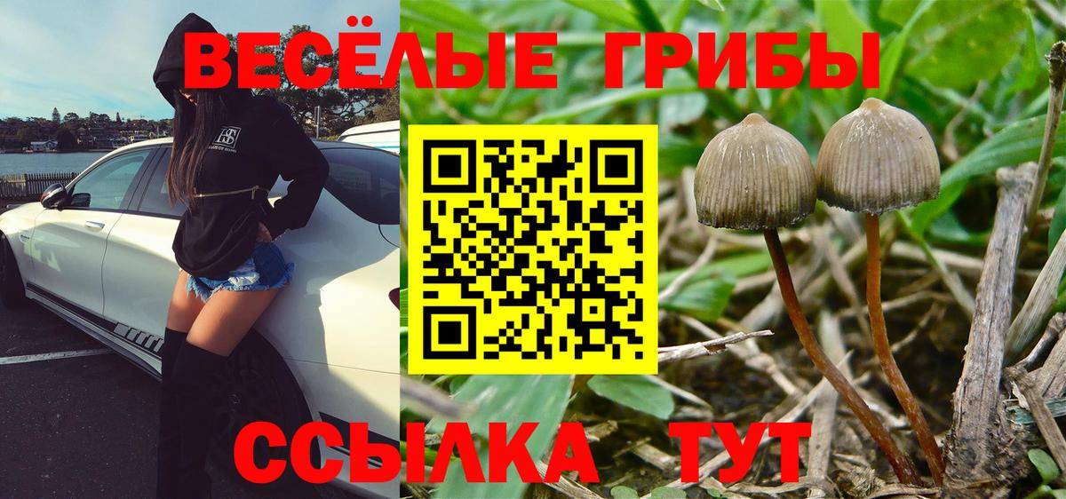 Донской  купить наркотик  Вход с VPN  Галлюциногенные грибы мухоморы  Галлюциногенные грибы GOLDEN TEACHER 